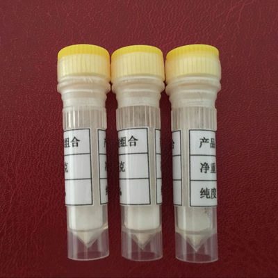 Anti Wrinkle Peptide Synthetic Against Oxidative Stresses Dipeptide-4