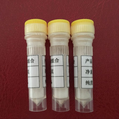 High effective peptide white color powder Hexapeptide-11 Peptamide 6 for skin firming Cas100684-36-4