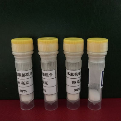 Custom peptide white color Ac-Ser-Gln-Asn-Tyr-OH / cas 129521-68-2 / Ac-SQNY