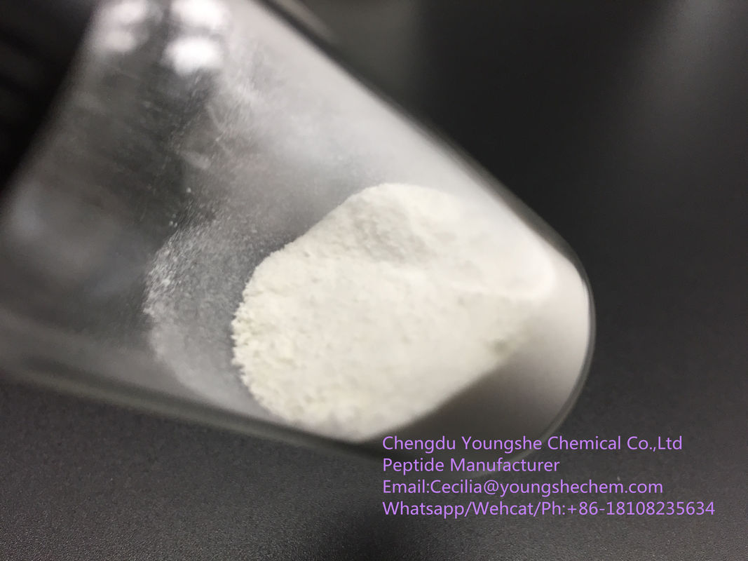 white color powder Wholesale Bioregulators Bronchogen/Cardiogen/Cartalax  in Stock